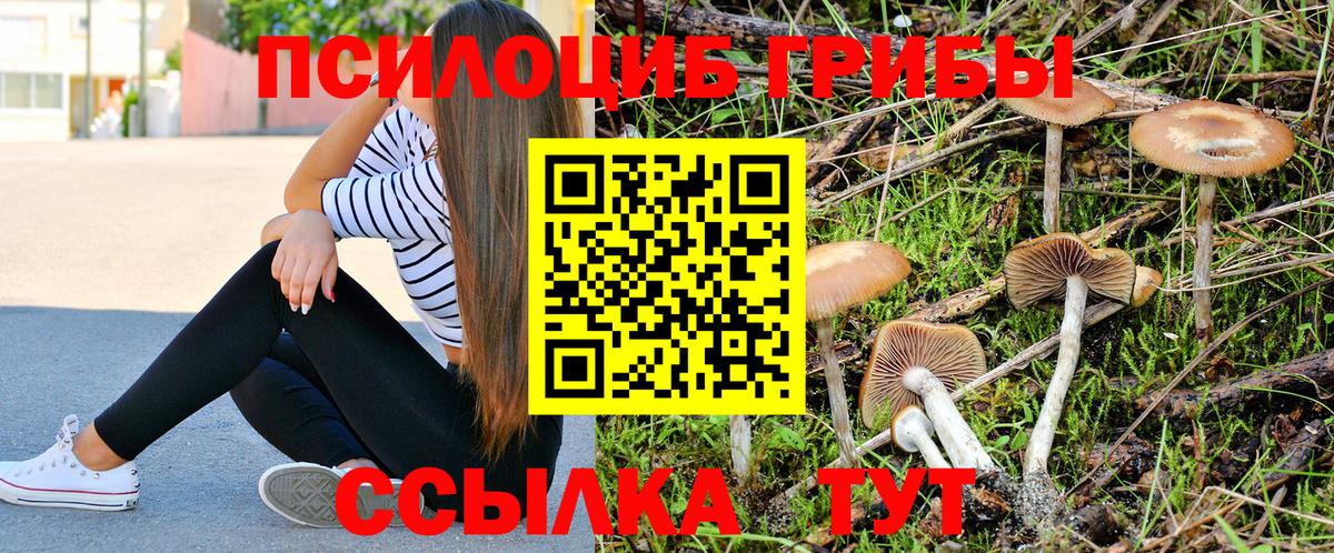 Галлюциногенные грибы MAGIC MUSHROOMS Элиста
