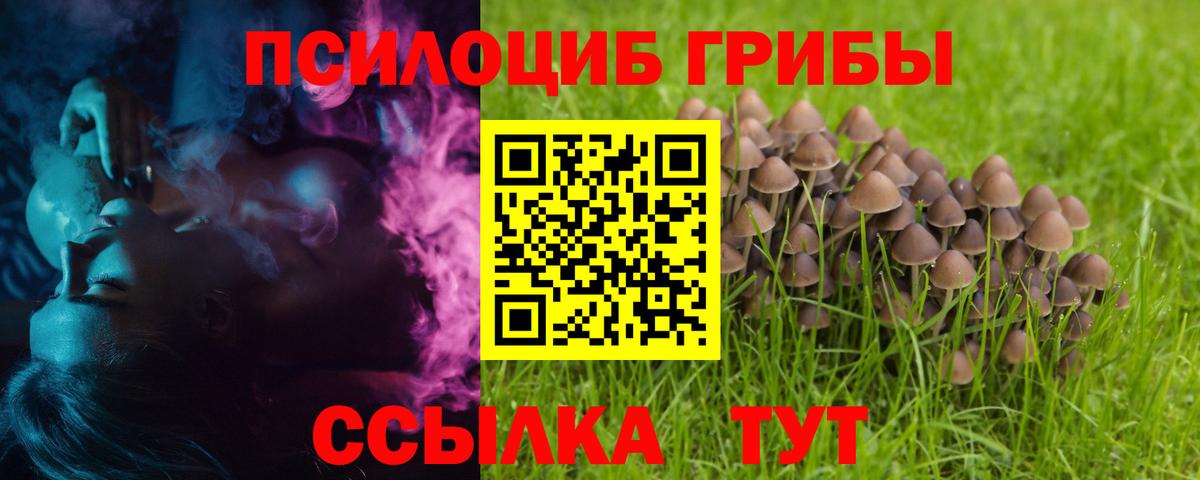Псилоцибиновые грибы Psilocybe  Галлюциногенные грибы Magic Shrooms  Элиста  Вход с VPN 