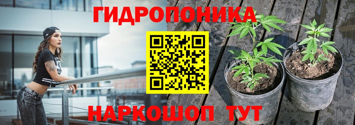 Каннабис ГИДРОПОН  Каннабис Amnesia  Канабис гибрид  Вход с VPN  Элиста 